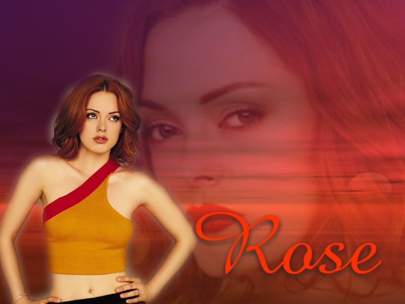 rose.jpg